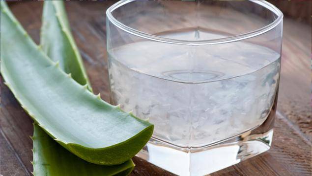 Warum Aloe Vera Trinken?