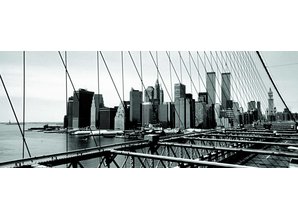 Atlas fotobehang Evolution 1 New York 1055