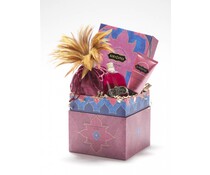 Kamasutra Treasure Trove - Raspberry Kiss Kamasutra Treasure Trove - Raspberry Kiss