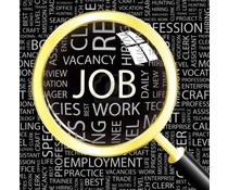 Looking for a job?
