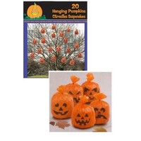 Pompoenzakjes (20 stuks)