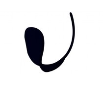 C-String C-String