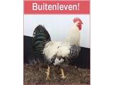 Buitenleven!