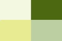 Copic inktflacons Yellow-Green