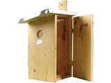 Observatie Vogelhuisje (observatie nestkast)