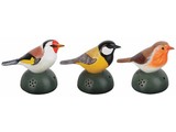Set of 3 decorative welcome birds chirp sound (1x blackbird, robin and 1x 1x tick)