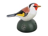 Decorative finch with chirp sound (with a motion detector and an on / off switch)