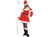 Theme-parties: luxury performance Female Santa-Claus