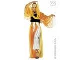 Carnival-costumes: Harem dancer, luxury