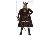 Carnival-costumes: Viking Viktoria