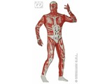 Carnival-costumes: Anatomic man