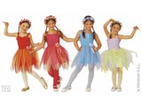 Carnival-costumes: Children: Ballerina Fairy