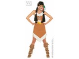 Carnival-costumes: Sexy Indian Dress