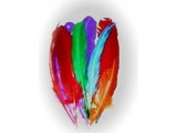 Carnival-accessories: Spadonic feathers