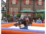 Rodeostier
