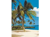 Komar fotobehangposter Hawaii 4-038