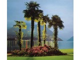 Komar fotobehangposter Lugano 6-029