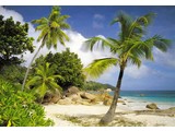 Komar fotobehangposter Praslin 8-885