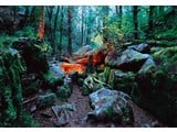 Komar National Geographic fotobehangposter Mystic 4-508