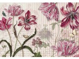 Komar National Geographic fotobehangposter Merian 8-510