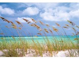 Komar National Geographic fotobehangposter Ocean Breeze 8-515