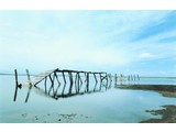 Atlas fotobehangposter Evolution 1 Bridge 1011