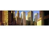 Atlas fotobehangposter Evolution 1 Chicago 1079
