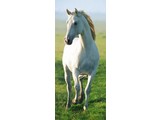 Wizard and Genius deurposter White Horse 00514