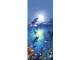 Wizard and Genius deurposter Dolphin in the Sun 00513