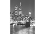 Wizard and Genius fotobehangposter Brooklyn Bridge 00417