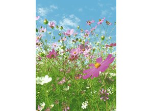 Wizard and Genius fotobehangposter Flower Meadow 00367