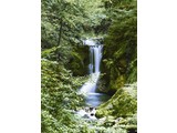 Wizard and Genius fotobehangposter Waterfall in Spring 00364