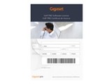Gigaset pro PBX licenses, extra single user license for T300 and T500