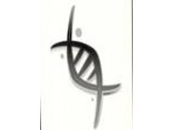 DNAcase