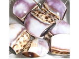 Schelp - Bruin/Wit/Paars