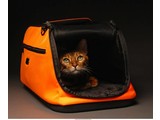 Sleepypod AIR