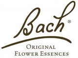 Bach
