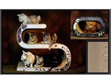 CAT-ON Collectie
