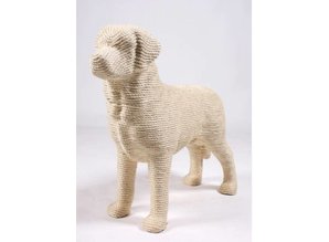 DOG Scratchpost