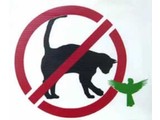 Katten niet toegelaten