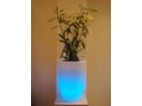 Trendy Design
