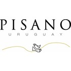 Pisano Rio de los Pajaros Tannat/Syrah/Viognier 2008