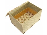 Rinske Stevens Magic Box