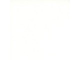 Da Gama - Corel Tree Offwhite / Creme
