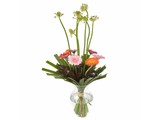 Moederdagboeket gerbera