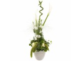 Modern wit arrangement