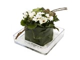 Arrangement op glazen schaal