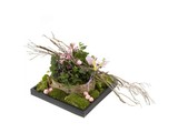 Lente arrangement