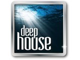 45 Deep House platen (partij)