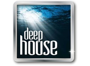 Job Lot of 45 x 12" Deep House, assorted